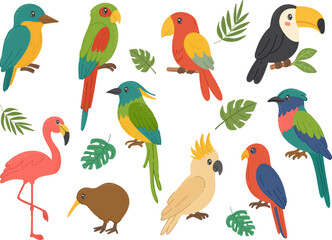 Tropical exotic birds set parrot, toucan, flamingo, kiwi, and cockatoo. Wild tropical animal. For kids content