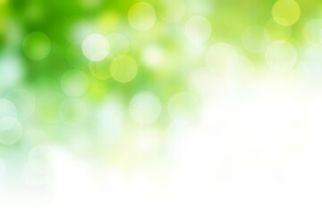 Abstract green bokeh background blur with white empty place, holiday light wallpaper