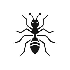 vector illustration of a spider on transparent background