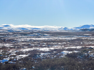 Autumn landscape in Dovrefjell National Park, Norway, surrounded by snow and vegetation