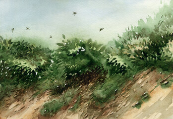25.06.45_Sandy ravine with thickets. The hainted with watercolors (2)