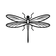 dragonfly isolated on transparent background