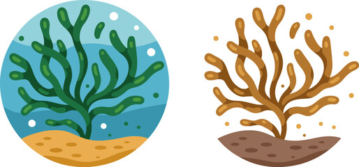 Seaweed kelp algae ocean underwater marine life aquatic plant vector illustration design graphic 100 editable stock vector illustration