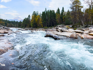 Scenic view of cascading river flowing through rocks and colorful autumn forest in norway, creating a picturesque landscape