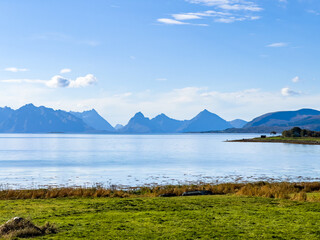 Autumn landscape in Lofoten Islands, Northern Norway, featuring colorful foliage, and a peaceful fjord.