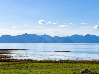 Autumn landscape in Lofoten Islands, Northern Norway, featuring colorful foliage, and a peaceful fjord.