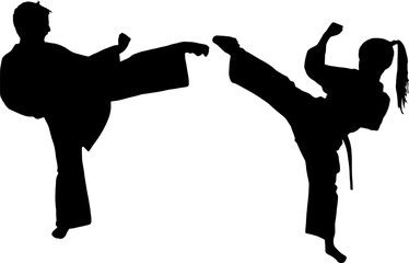 Martial Arts Silhouette