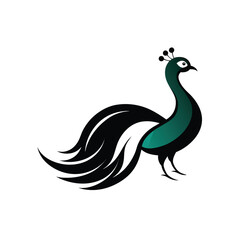 Fototapeta premium peacock feather silhouette on transparent background 