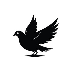Obraz premium Dove of peace on transparent background 
