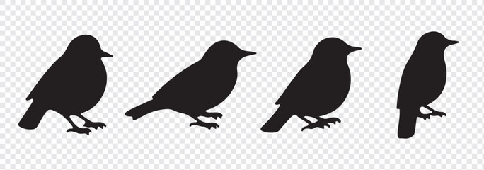 Vector set of bird silhouettes. Birds silhouette different vector illustrations.