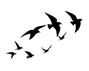 Flying Birds Silhouettes Vector - Isolated Bird Flock for Tattoo Design on White