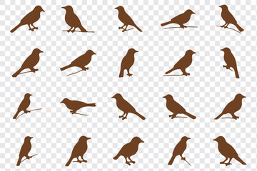 Vector set of bird silhouettes. Birds silhouette different vector illustrations.