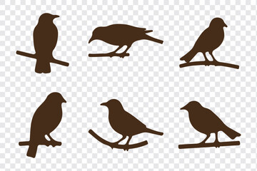 Silhouettes of birds doodle set. Black collection design animal cartoon for nature. Element graphic drawing sketch and isolated white background. Abstract decoration symbol.