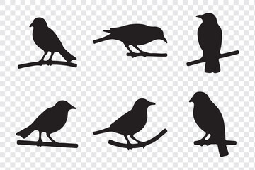 Silhouettes of birds doodle set. Black collection design animal cartoon for nature. Element graphic drawing sketch and isolated white background. Abstract decoration symbol.