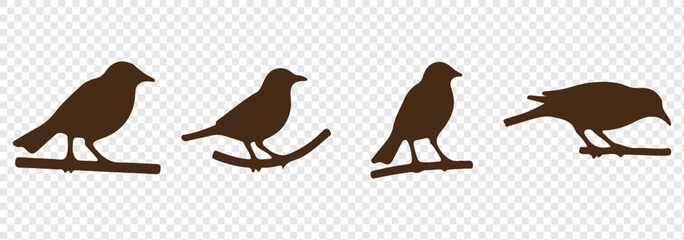 Silhouettes of birds doodle set. Black collection design animal cartoon for nature. Element graphic drawing sketch and isolated white background. Abstract decoration symbol.