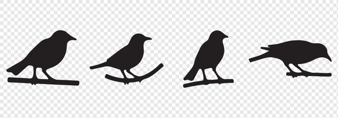 Silhouettes of birds doodle set. Black collection design animal cartoon for nature. Element graphic drawing sketch and isolated white background. Abstract decoration symbol.