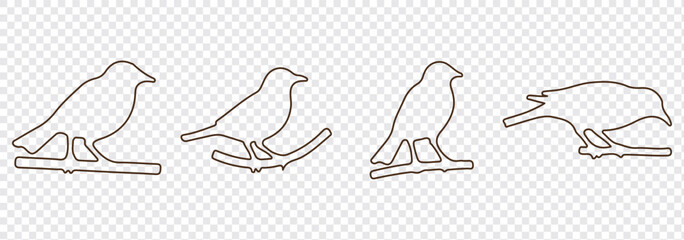 Birds icon set. fly illustration sign collection. nature symbol. Bird's black silhouettes set. bird silhouettes on white background.