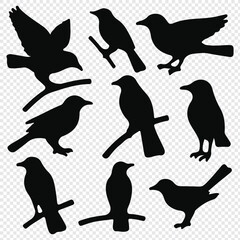 Set of black bird silhouettes. Vector elements for designfly illustration sign collection. nature symbol.