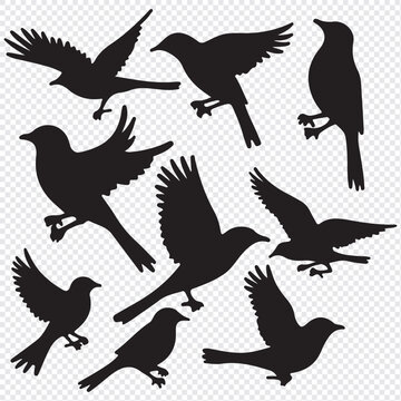 bird silhouettes, black and white, vector graphics, various poses, perched birds, flying birds, detailed bird shapes, minimalist design, ornithology illustration, nature clipart, bird watching guide