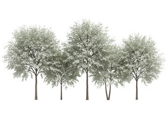 Snow covered trees group isolated on transparent background