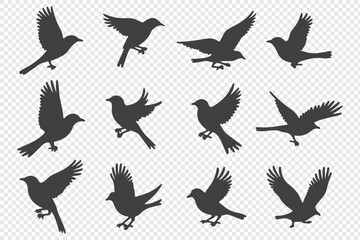 Fototapeta premium silhouettes of birds vector. bird silhouette vector illustration, perfect for logo design, art projects, and graphic design.
