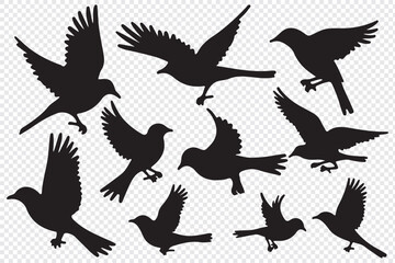 Bird's black silhouettes set. bird silhouettes. isolated on white background.