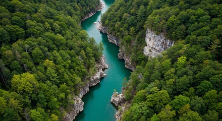 Aerial View of Turquoise River Winding Through Lush Green Forest Gorge