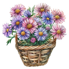A Aster Flower Basket, watercolor vector, isolated on a white background.