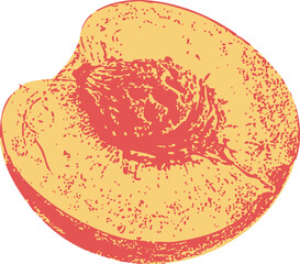 Vintage half peach fruit illustration with visible seed, engraved vector on white. Suitable for jam labels, cooking blogs, or vegan product design.