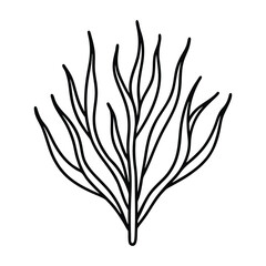 Edible samphire plant with succulent green stems Line Art Vector illustration