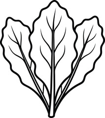 Swiss chard vegetable leaves with crisp natural texture Line Art Vector illustration