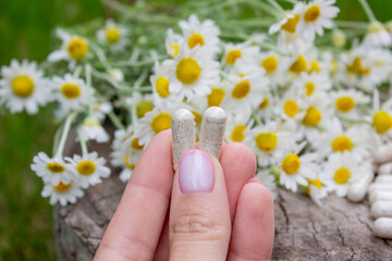 Herbal Chamomile Capsules in Hands with Flowers