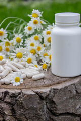 Chamomile Capsules and Fresh Daisies on Wooden Surface