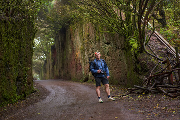 Obraz premium Photographer hiking in rainy Anaga forest