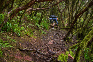 Fototapeta premium Photographer deep in Anaga jungle
