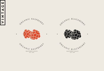 Raspberry and blackberry logo vector. Organic food