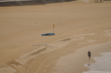 Sydney, New Sowth Wales, Australia. May 22, 2013: A solitary person walks along the sandy beach of Sydney, Australia.