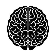 Human brain anatomy illustration for medical education and science research and study diagram