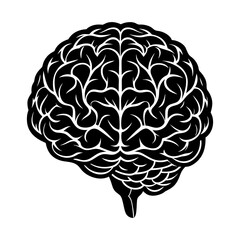 Brain illustration for medical education and neuroscience research on human intelligence and anatomy