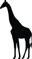 Giraffe. Black Giraffe. Silhouette. Animals. Running Giraffe. Vector. Clean and minimal design, perfect for logos, icons, conservation posters, and animal-themed artwork.