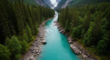 Turquoise River Winding Through Lush Mountain Forest