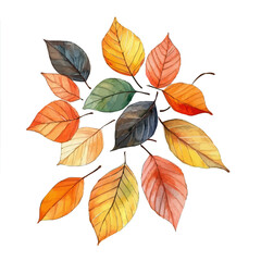 Autumn Leaves Softly Fall, watercolor illustration vector, isolated on a white background.