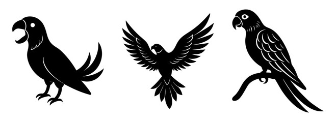 Silhouette set of exotic parrot avian tropical birds vector graphic