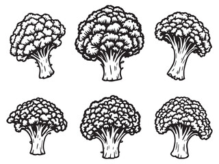 Broccoli Line Art Illustration