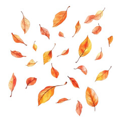 Autumn Leaves Softly Fall, watercolor painting vector, isolated on a white background.