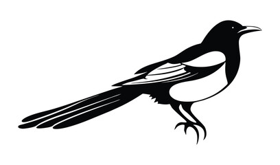 silhouette of a bird
