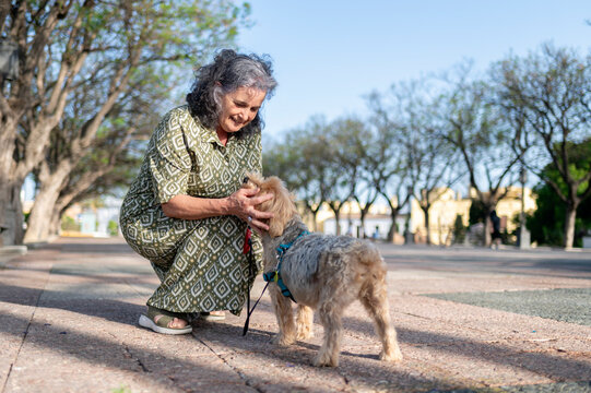 Mature woman playing with her dog outdoors - Powered by Adobe