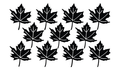 autumn leaves vector