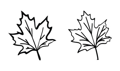 Two maple leaves isolated on white background in simple black and white outline style