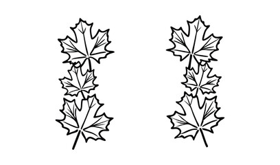 Two vertical rows of maple leaves isolated on white background